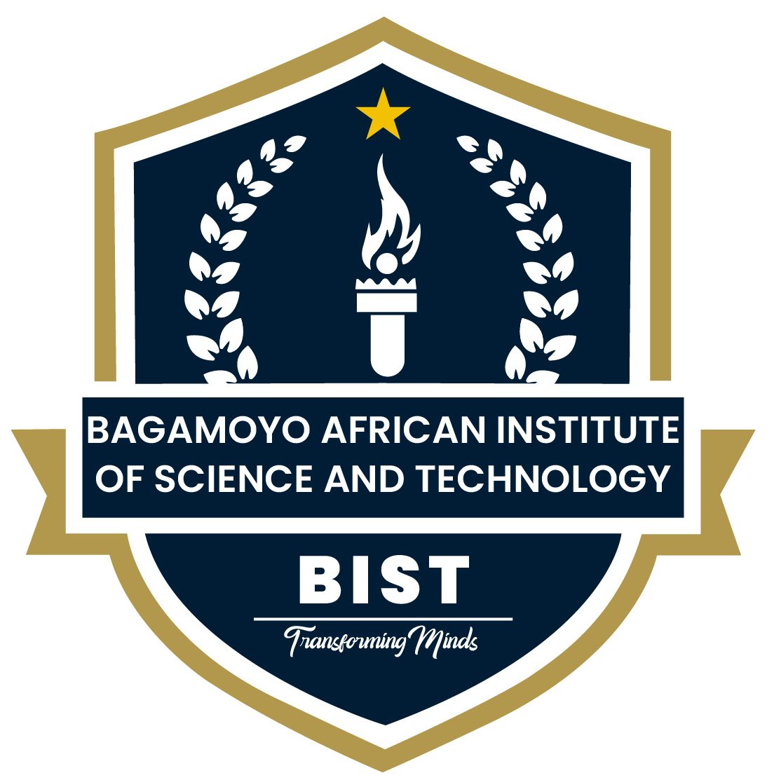 BIST-BAGAMOYO AFRICAN INSTITUTE OF SCIENCE AND TECHNOLOGY