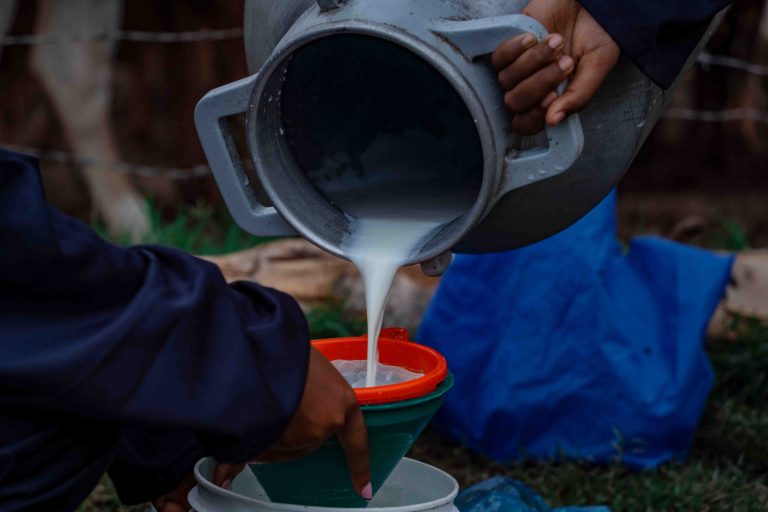 milk-harvesting